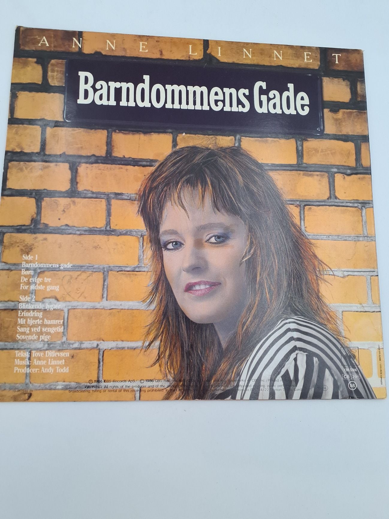 LP Anne Linnet Barndommens gade
